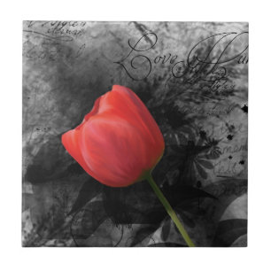 Azulejo Tulip Rojo