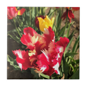 Azulejo Tulip rojo y blanco único