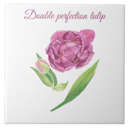Azulejo Tulipán de doble perfección acuarela botánica