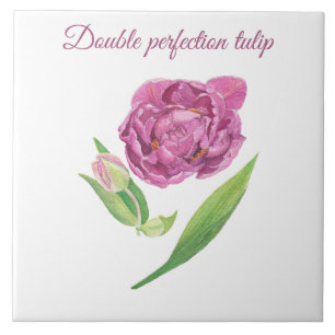 Azulejo Tulipán de doble perfección acuarela botánica