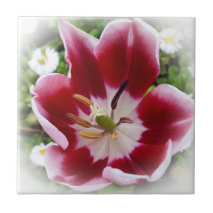 Azulejo tulipán rojo brillante