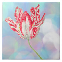 Tulipán Vintage Cerámica Tile