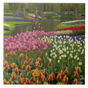 Azulejo Tulipán y jardín de jacinto, Keukenhof Gardens,