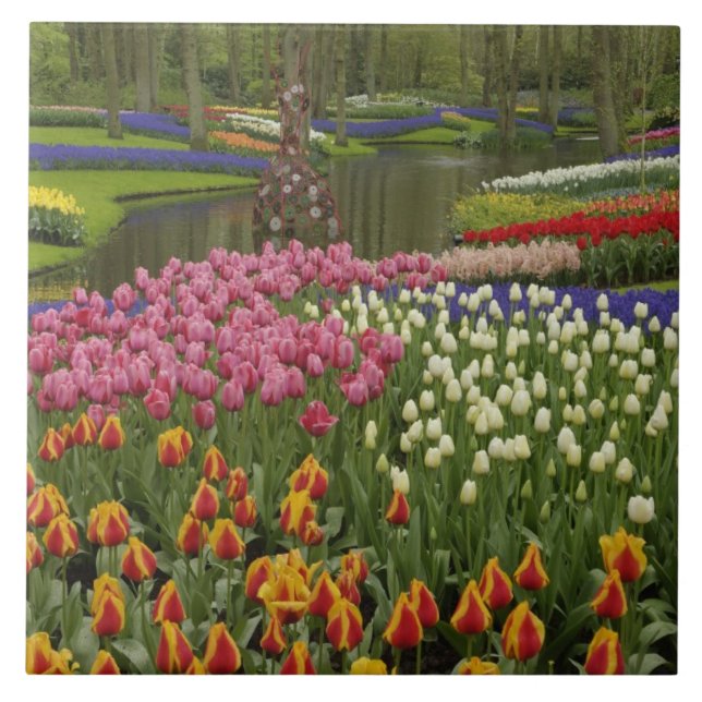 Azulejo Tulipán y jardín de jacinto, Keukenhof Gardens, (Frente)