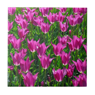 Azulejo Tulipanes de primavera púrpura