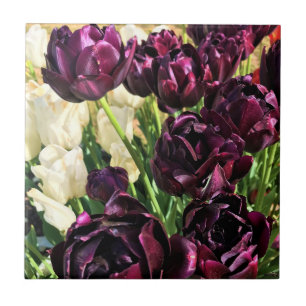 Azulejo Tulipanes Héroes Negros, Oregón