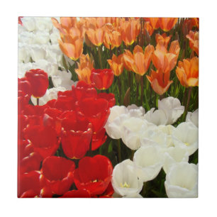 Azulejo Tulipanes Rojo Naranja Blanco Tulipán Flores regal