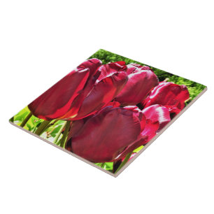 Azulejo Tulipanes Rojos Tile Cerámico