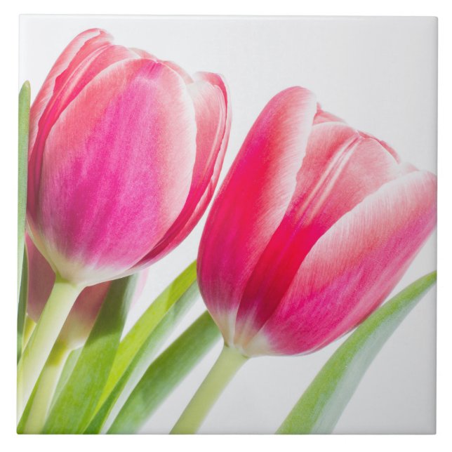 Azulejo Tulipanes rosados con foto de hojas verdes (Frente)