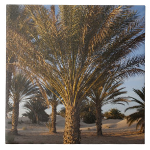 Azulejo Túnez, desierto del Sahara, Douz, Gran Duna, palme