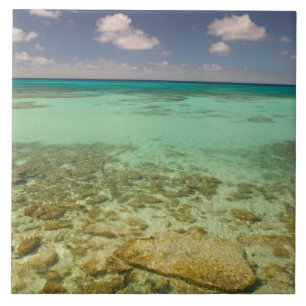 Azulejo Turcas y Caicos, Isla Gran Turca, Cockburn 2