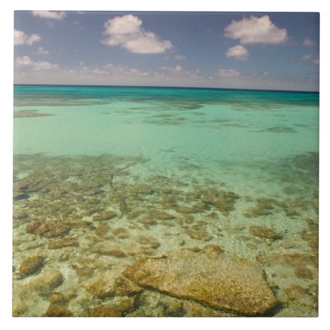 Azulejo Turcas y Caicos, Isla Gran Turca, Cockburn 2 (Frente)