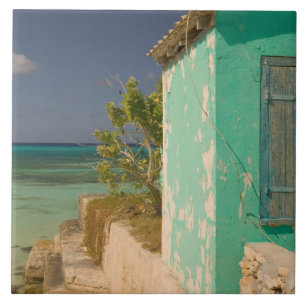 Azulejo Turcas y Caicos, Isla Gran Turca, Cockburn 4