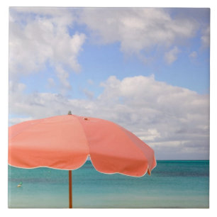 Azulejo Turcas y Caicos, Isla Providenciales, Grace