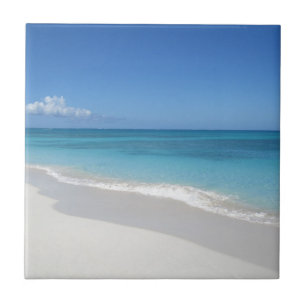 Azulejo Turcos y playa ideal de Caicos