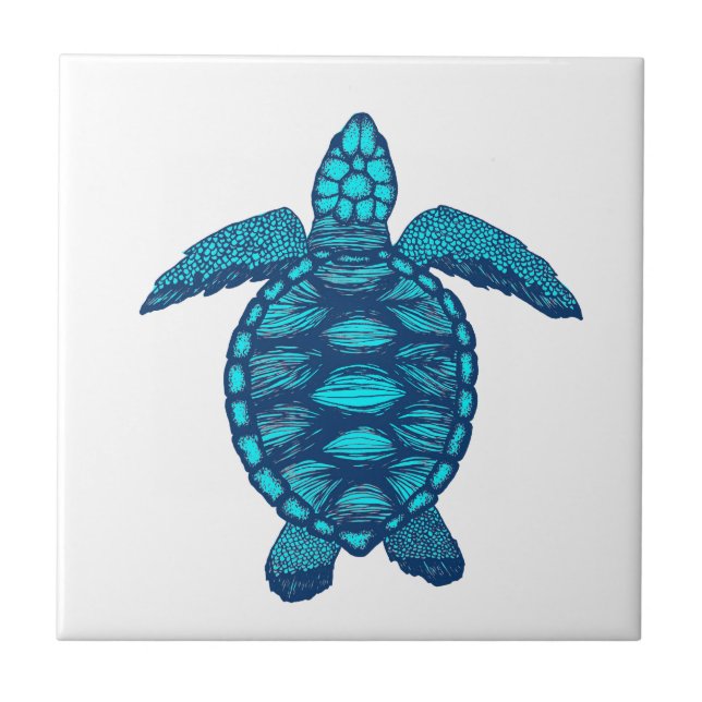 Azulejo turtle (Frente)