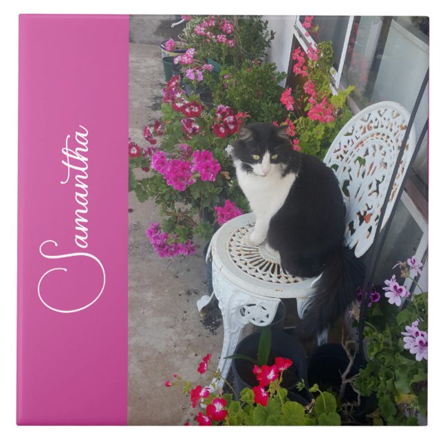 Azulejo Tuxedo Cat Cats and Flowers Girls Name Dark Pink (Frente)