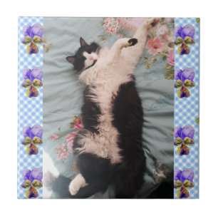 Azulejo Tuxedo Cat Sleeping Funny Cats viola Tile Cerámico
