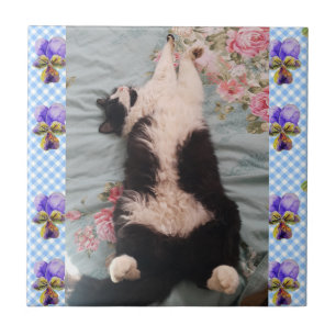 Azulejo Tuxedo Cat Sleeping Funny Cats viola Tile Cerámico