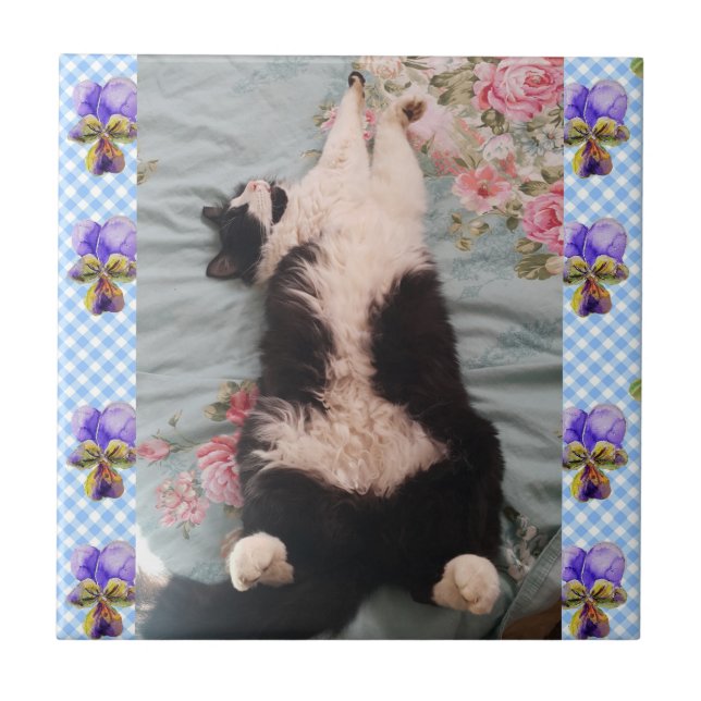Azulejo Tuxedo Cat Sleeping Funny Cats viola Tile Cerámico (Frente)