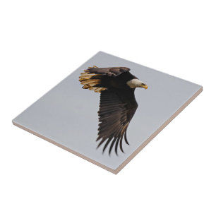 Azulejo Un águila calva lleva al cielo