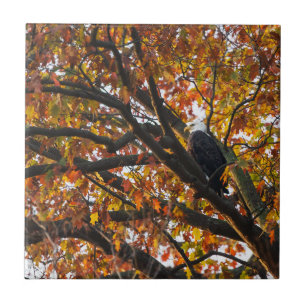 Azulejo Un águila en otoño