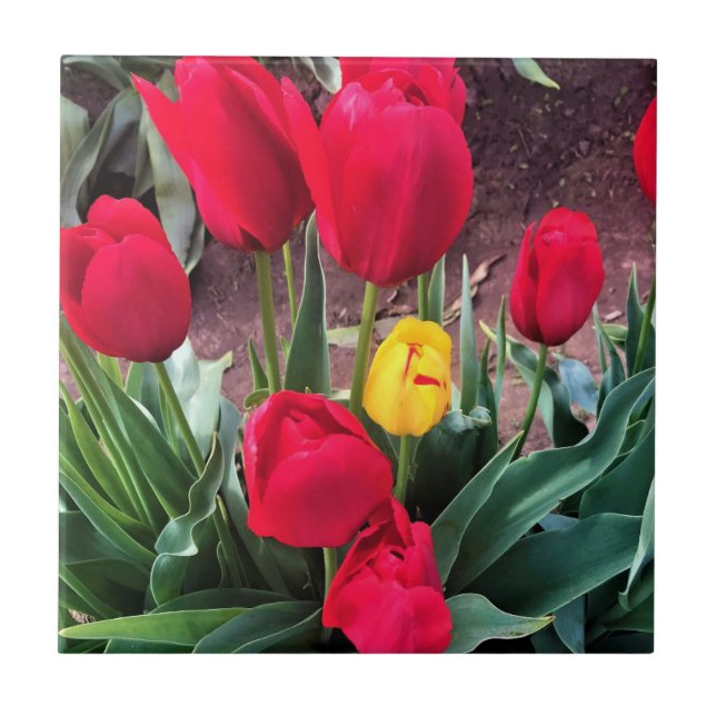 Azulejo Un amarillo con tulipanes rojos (Frente)