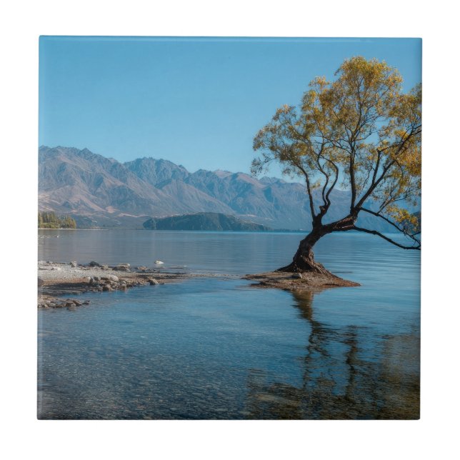 Azulejo Un árbol en un lago (Frente)
