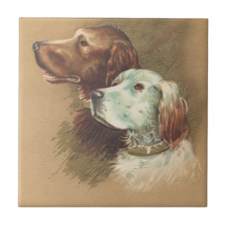 Azulejo Un Brown y un perro blanco