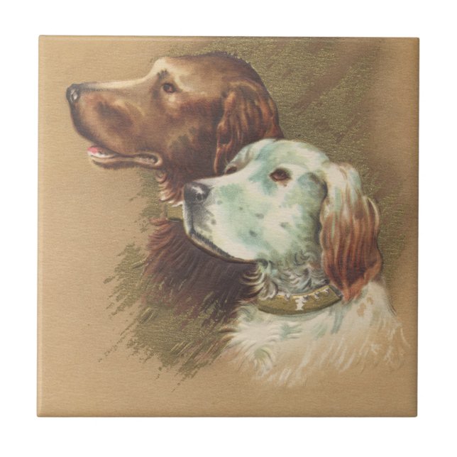 Azulejo Un Brown y un perro blanco (Frente)
