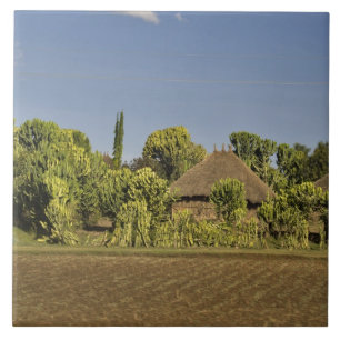 Azulejo Un campo cultivado frente a casas de techo de paja