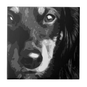 Azulejo Un Dachshund miniatura blanco y negro