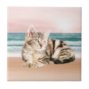 Azulejo Un gato atigrado más lindo sentado en la playa con