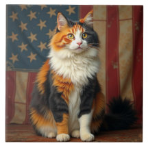 Un gato patriótico