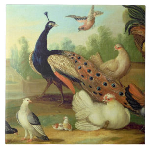 Azulejo Un pavo real, palomas, pollos y un Jay en un