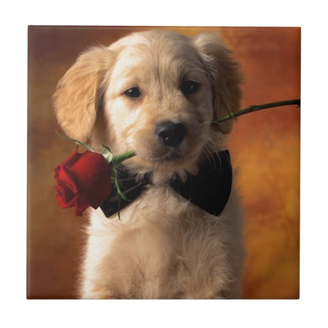 Azulejo Un perro con una flor (Frente)