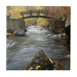 Azulejo Un río que corre a través del barranco americano