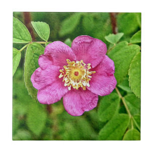 Azulejo Un Rosa salvaje
