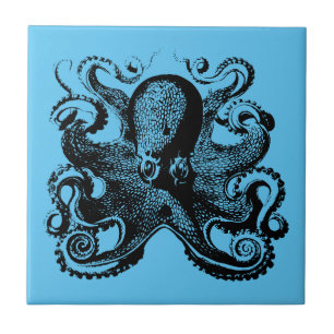 Azulejo Un viaje náutico por tu pulpo casero