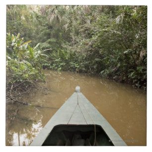 Azulejo Una canoa de madera hecha del árbol de Eucylptus
