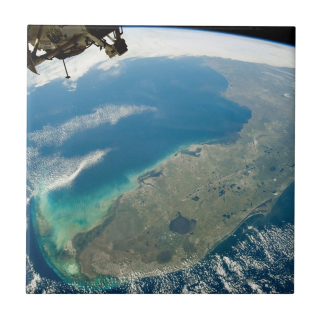 Azulejo Una Florida Oblíque, En La Costa Sureste (Frente)