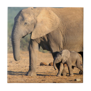 Azulejo Una madre y cría de elefante africano en movimient
