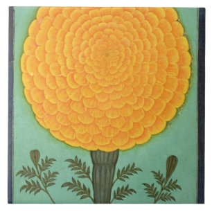 Azulejo Una maravilla, del pequeño álbum de Clive (w/c e