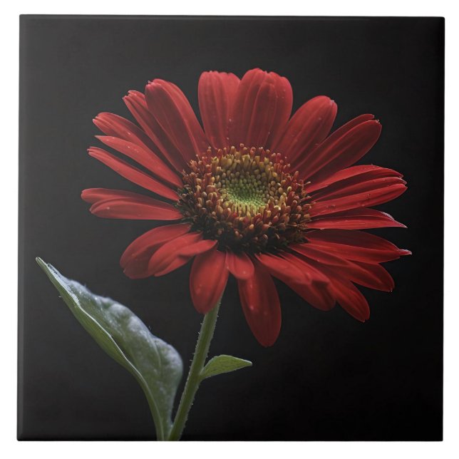 Azulejo Una margarita roja en el lado negro izquierdo, (Frente)