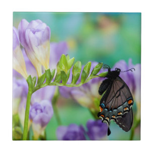 Azulejo Una Mariposa Monarca Danaus Plexippus