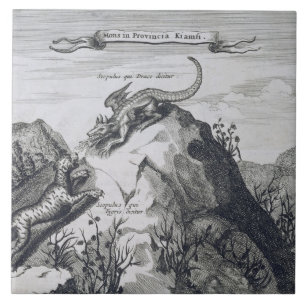 Azulejo Una montaña en la provincia de Jiangxi con los