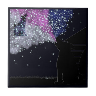 Azulejo Una noche de verano con Sirius