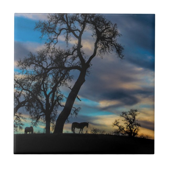 Azulejo Una ruptura en la tormenta de cuentos de arte de c (Frente)