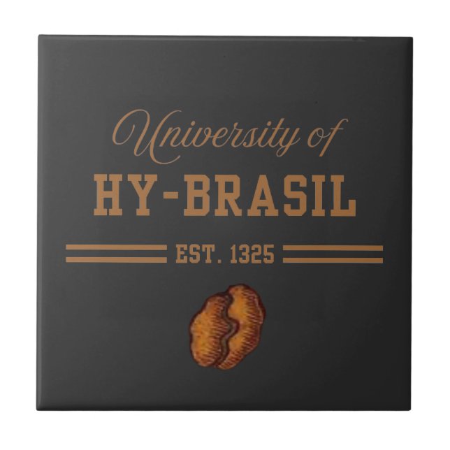 Azulejo Universidad de Hy-Brasil, Est. 1325 (Frente)
