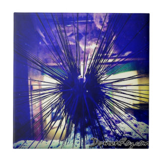 Azulejo Urchin de Longspine Negro